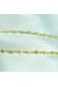 Collier Savannah